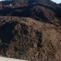 کود گوسفندی رایگان