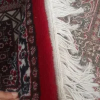 فرش وکناره|فرش|سنندج, |دیوار