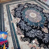فرش ۱۲ متری نو نو|فرش|گنبد کاووس, |دیوار