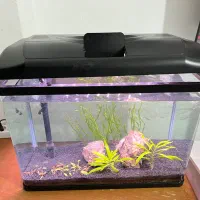 آکواریوم با تجهیزات و بستر زیر قیمت
