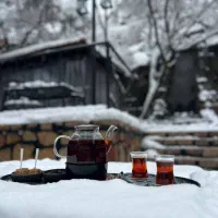 استخدام نیرو در مجموعه رستوران همنشین