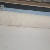 نیروی کار جوان