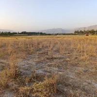 1400 متر زمین|فروش دفتر صنعتی، کشاورزی، تجاری|کازرون, |دیوار