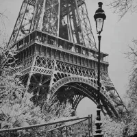 نصب انواع کاغذ دیواری و پوستر سه بعدی