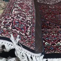 فرش دستباف|فرش|زنجان, |دیوار