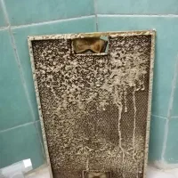 قوی‌ترین چربی‌زدا و گازپاک‌کن صنعتی|مواد شوینده و دستمال کاغذی|مشهد, نوید|دیوار