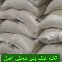 تخم علف محلی بمی پاک اصلاح سس گیری شده|خدمات باغبانی و درختکاری|بم, |دیوار