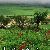 ۲۱۷متر زمین دارای مجوز ساخت ۹۰۰م ونشید بهشهر