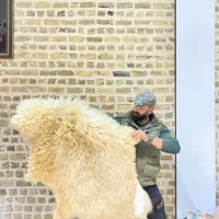 پوست چرم تزیینی