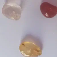 مهره های با اصالت