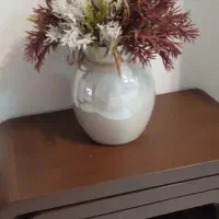 دوعدد گلدان