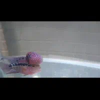 ماهی فلاور هورن