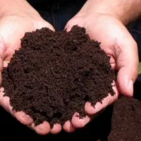 کود کشاورزی