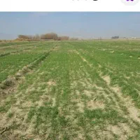 زمین-کشاورزی