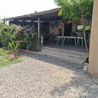 اسب ،باشگاه سوارکاری نعل،|اسب و تجهیزات اسب‌سواری|کرج, کمال‌شهر|دیوار