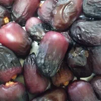 اجارهشتصدتاخوشه خرما
