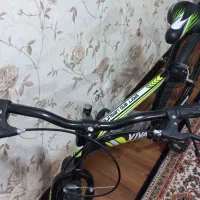 دوچرخه ۲۶ مارک ویوا نو استفاده نشده|دوچرخه، اسکیت، اسکوتر|کرمان, |دیوار