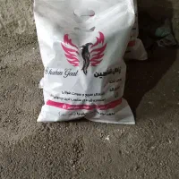 زغال خود سوز درجه یک جنگلی