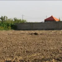 زمین-2500-متری-در-آبباریک