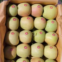 سیب قرمز وسفید|حراج|فندقلو, |دیوار