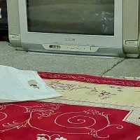 تلویزیون