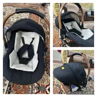 کریر نوزادی