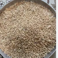 هفتصد هشصد کیلو گندم دیم