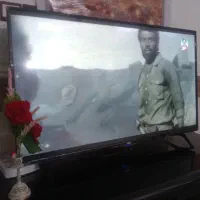 تلوزیون سام ۴۳|تلویزیون و پروژکتور|سرخنکلاته, |دیوار