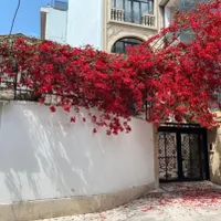 فروش آپارتمان ۱۵۰ متری ۳ خوابه سندار در منظریه|فروش آپارتمان|رشت, منظریه|دیوار