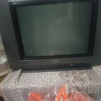 تلوزیون
