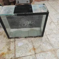 اکواریوم شیشه ای 7میل