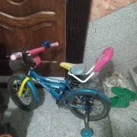 دو عدد دوچرخه