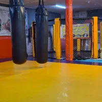 آموزش ورزش‌های رزمی بانوان