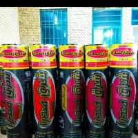 پیروزگام ایزوگام۲۰۲۶