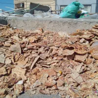 نان|لوازم جانبی حیوانات|زاهدان, |دیوار