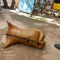 هیزه نو بدون هیچ مشکل.