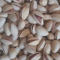 زمین-کشاورزی-پسته-30جیریب