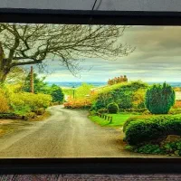 دو عدد تابلو چراغ دار|تابلو، نقاشی، عکس|نسیم‌شهر, |دیوار