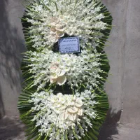 ژینوس تک الی تاج نه تیکه اروپایی گلایولی فرفورژه|خدمات پذیرایی، مراسم|تهران, آهنگ|دیوار