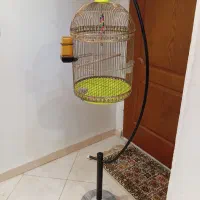 قفس پایه دار بلند|لوازم جانبی حیوانات|کرج, شهرک فهمیده|دیوار