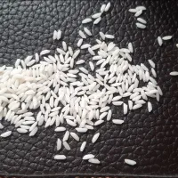 برنج سونامه سوری شبیه برنج ایرانی