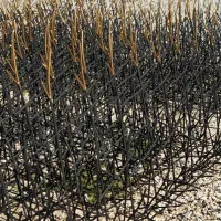 تولید کننده انواع نرده دزدگیر دیوار|خدمات پیشه و مهارت|شیراز, دباغ خانه|دیوار