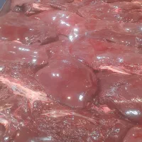 پخش جیگر|خوردنی و آشامیدنی|قم, قلعه کامکار|دیوار