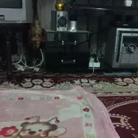 میز تلویزیون