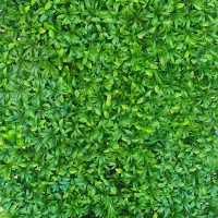 گرینوال|گل مصنوعی|چهاردانگه (تهران), |دیوار
