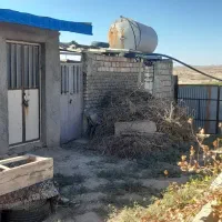 فروش فوری باغ بایک ساعت اب درخوسف