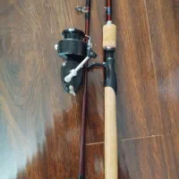 چوب وچرخ میشل فرانسه