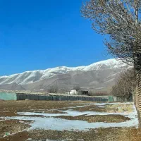 خلیج فارس آبسرد