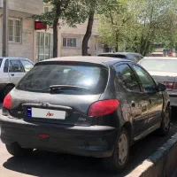 ۲۰۶ فرانسوی واقعی تیپ۲ مناسب مصرف شخصی و جمع‌کردن