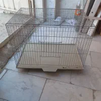 قفس پرنده سالم